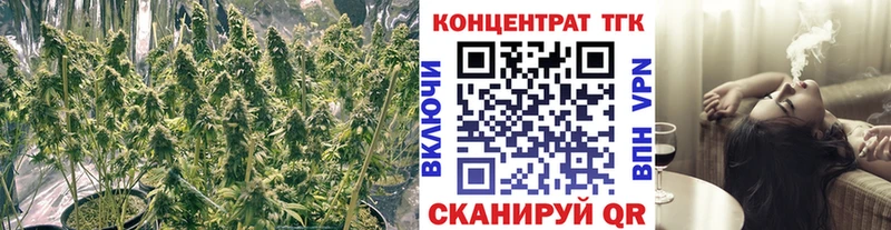 дарнет шоп  Сорочинск  ТГК THC oil 